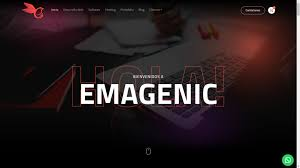 La tienda de Matias Seguel Miranda